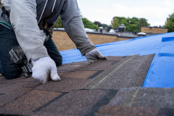 Best Shingle Roofing Installation  in Lopezville, TX