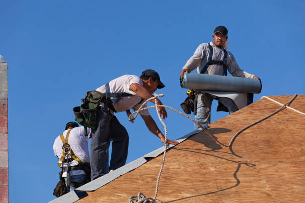 Professional Roofing Contractor in Lopezville, TX